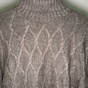 Express Turtleneck Sweater Cableknit